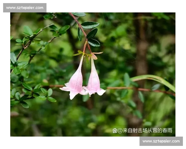 白教视角:滔搏八强之路,每一秒都攥心 白教视角:滔搏八强之路,每一秒都攥心