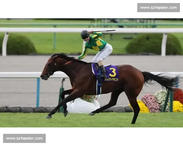 刚劲力登顶菊花赏！李慕华铸就三连冠传奇