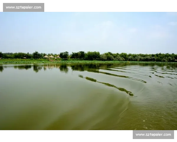 燃情鸣翠湖!“好运山东 骑迹山海” 河口站圆满落幕