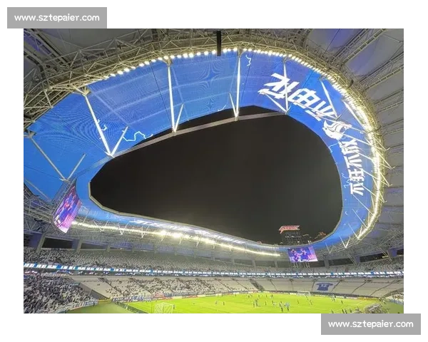 亚冠耗损击垮申花：双子神失灵，争冠梦蒙尘