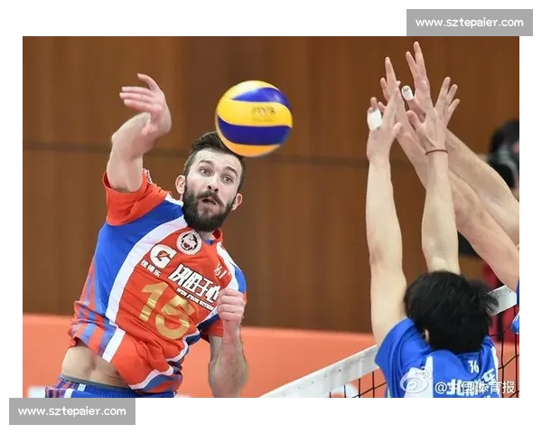 卢高vs艾科坎巅峰对决技术流与力量派的全面碰撞解析看点前瞻深