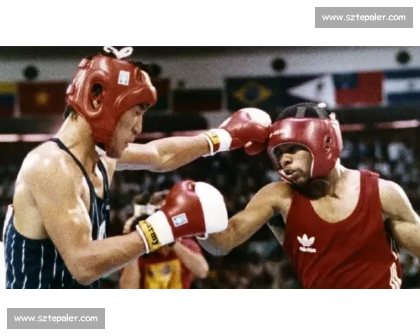 拳击vs全维度对决解析力量速度技术与战术的终极碰撞时代盛宴 拳击vs全维度对决解析力量速度技术与战术的终极碰撞时代盛宴